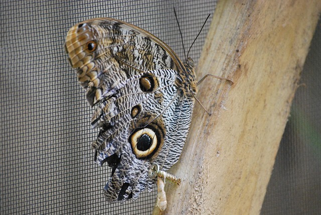 Увеличение Конверсии: Эффективные Стратегии и Методы